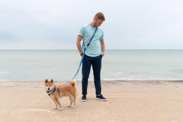 Eyes Hands Free Lead - Image 4