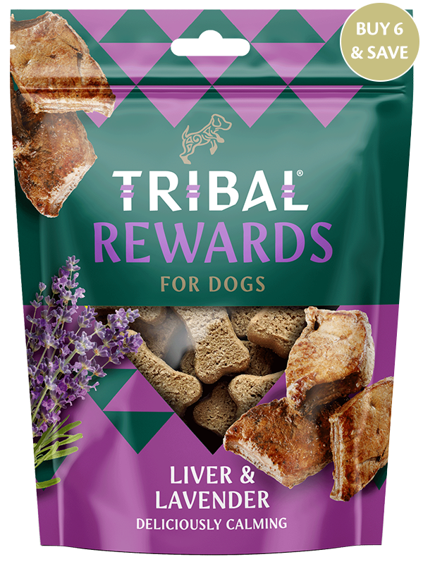 Tribal Liver & Lavender Dog Biscuits