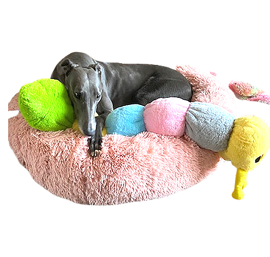 Greyhound Snuggle Caterpillar