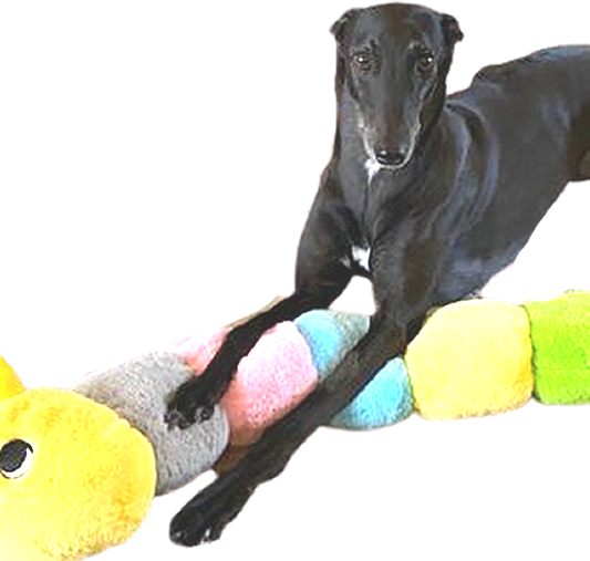 Greyhound Snuggle Caterpillar - Image 2