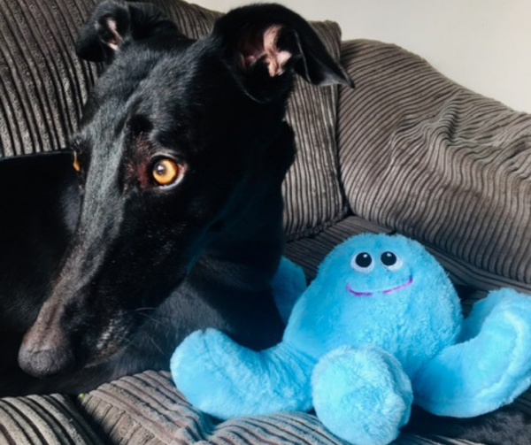 Gor Hugs Momma Octopus