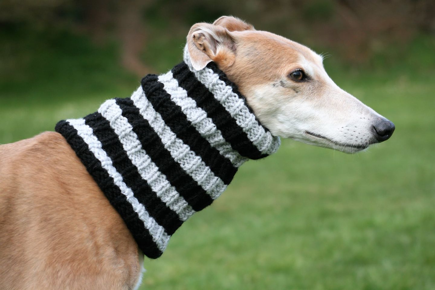Totally Greyhound Snoods