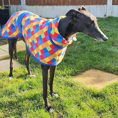 Totally Greyhound Fleece Coat. The Luna Collection. Made to Measure - Image 5