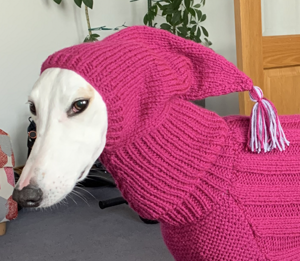 Totally Greyhound Hats