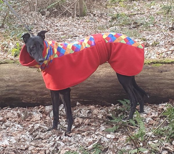 Totally Greyhound Fleece Coat. The Heathlawn Collection. Regular Fit.